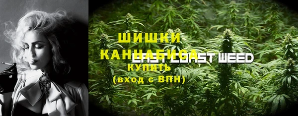 шишки Ростов