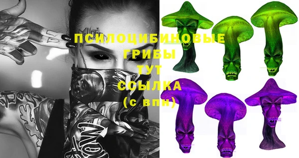 твердый Алзамай