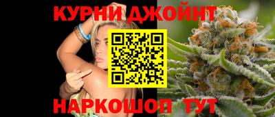 стаф Тара