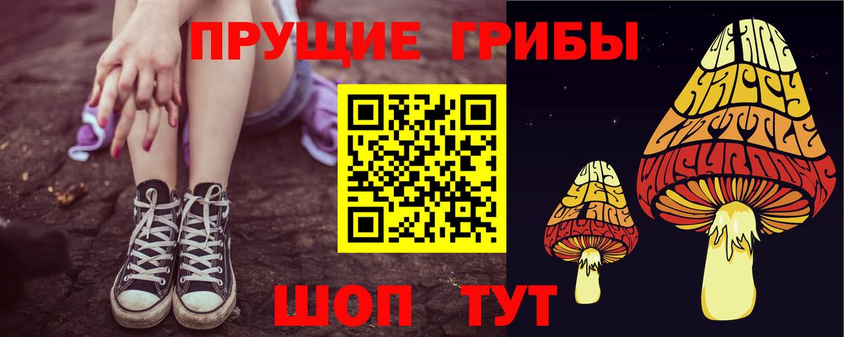 Псилоцибиновые грибы Psilocybe  Вход с VPN  Нарткала 